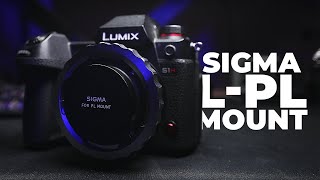Sigma PL to L Mount Adapter | Worth the Price?