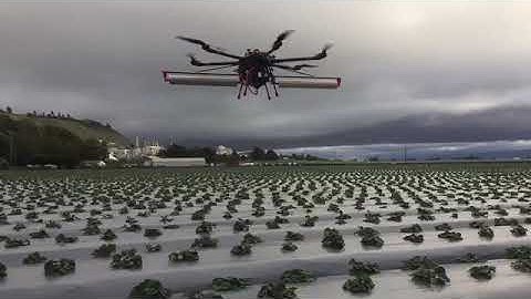 Parabug promotional video