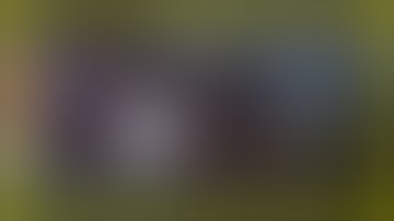 Horse-Drawn Carriages in 60 Seconds Flat