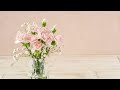坂本冬美 花瓶の花