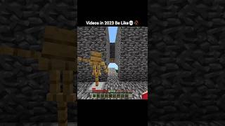 videos in 2023 be like 💀🥀 #minecraft