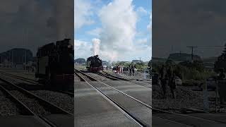 NZR WW class 644 Steam Engine