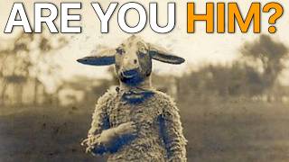 How to Know if You Are AWAKE or ASHEEP