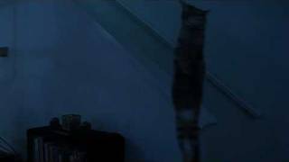 Paranormal Cattivity - The Movie