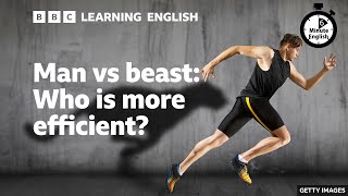 Man vs beast: Who is more efficient? - 6 Minute English