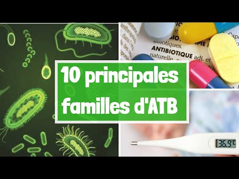 LES PRINCIPALES FAMILLES DES ANTIBIOTIQUES EN 4 MIN