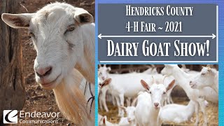 Hendricks County Dairy Show 2021