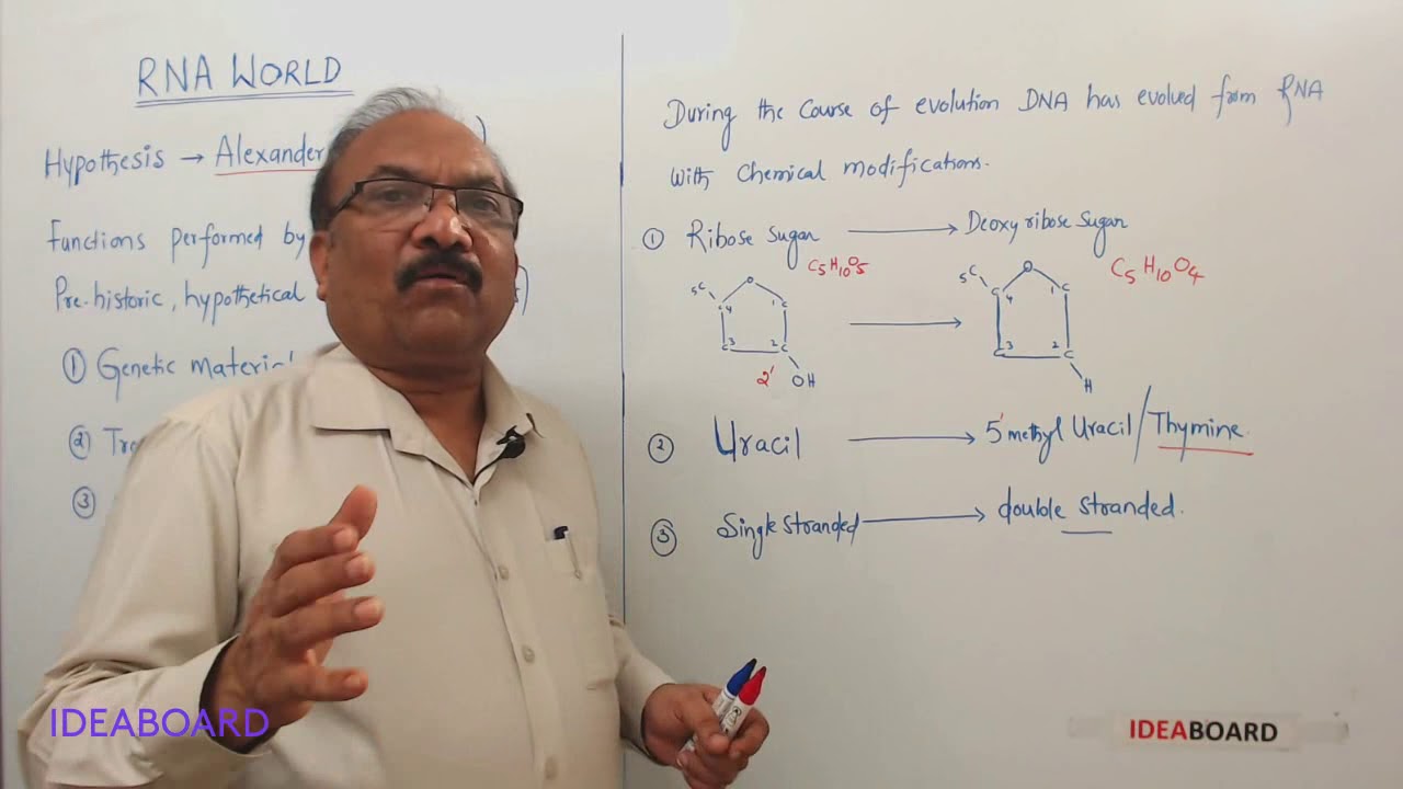 RNA WORLD - YouTube