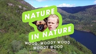 "Wood, woody wood, woody wood": Nature in nature - Episode 4