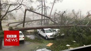 Hurricane Michael: Videos show destruction in US - BBC News