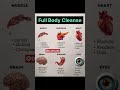 Full Body Cleanse with These Superfoods | Detox Every Organ Naturally#healthylifestyle #health