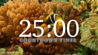 Full 25 Minute Aquarium Timer with Relaxing Music 🐠⏰ Guide