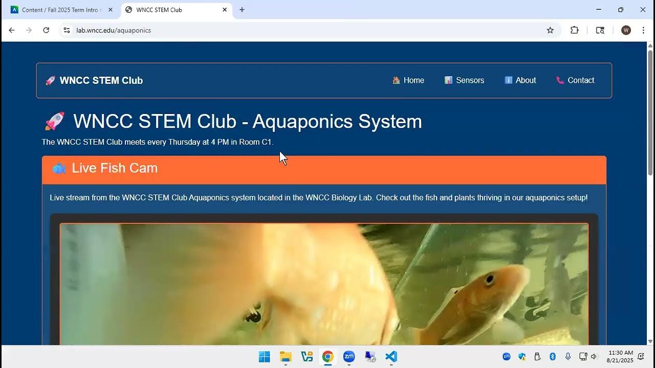 Software Development Process with an MPG Program in Python - YouTube