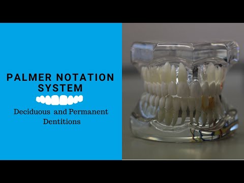 Palmer Notation System - YouTube