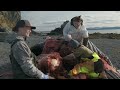 Kodiak humpback whale necropsy indicates poor health before death