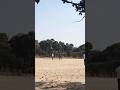 #cricket #cricketlover #six #love #bowling #batting #highlights