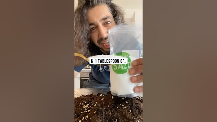 How to Fix a Dying Plant | creative explained