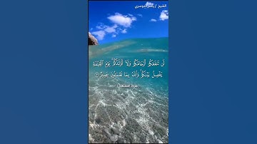 سورة الممتحنة من آية 2 إلى آية 3 بصوت الشيخ ياسر الدوسري♥♥