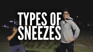 Types Of Sneezes