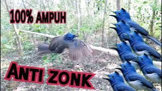 Suara Pikat Burung Kehicap Ranting/Slendang Biru 2023||100% Ampuh||Anti Zonk