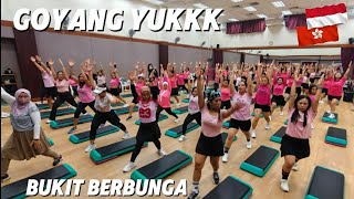 Download Lagu 🔴BUKIT BERBUNGA//GOYANG YUKK ‼️ MP3 Download Lagu 🔴BUKIT BERBUNGA//GOYANG YUKK ‼️ MP3