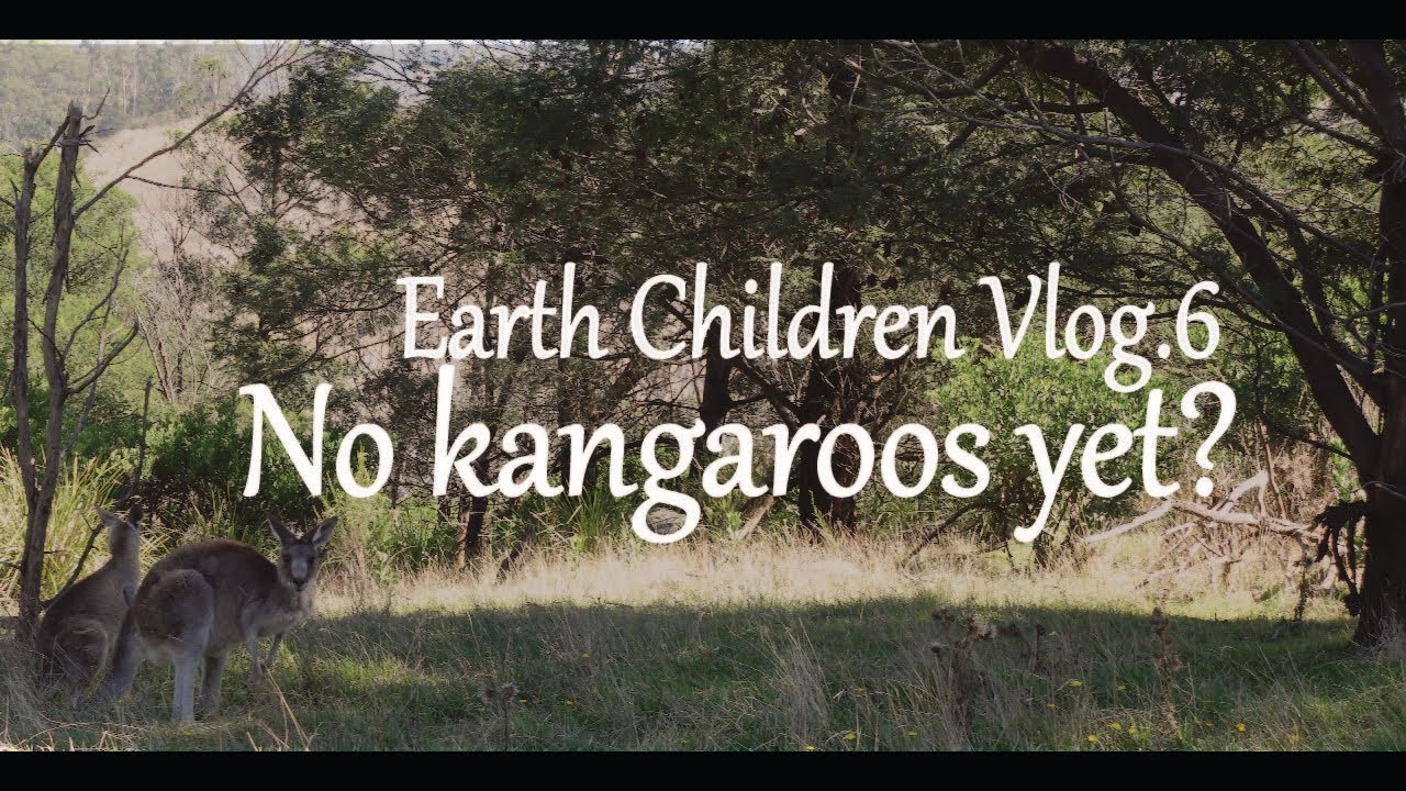 カンガルーも顔負け 日本にもいる長耳の小さないたずらっ子 どこの国に住んでも心ほっこりのんびり旅 心ほっこりearth Children Blog