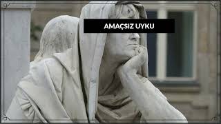 Amaçsiz Uyku