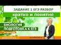 Задание № 1 ЕГЭ биология 2018. Разбор заданий в новом формате с Денисенко Людмилой.