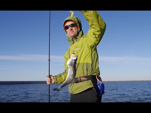 Understanding How BAROMETRIC PRESSURE affects Fishing (High & Low Pressure)  