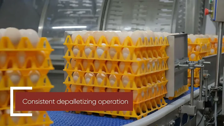 High-speed Egg Depalletizing System | TECHVITAS ROBOTIKA x BALTICOVO