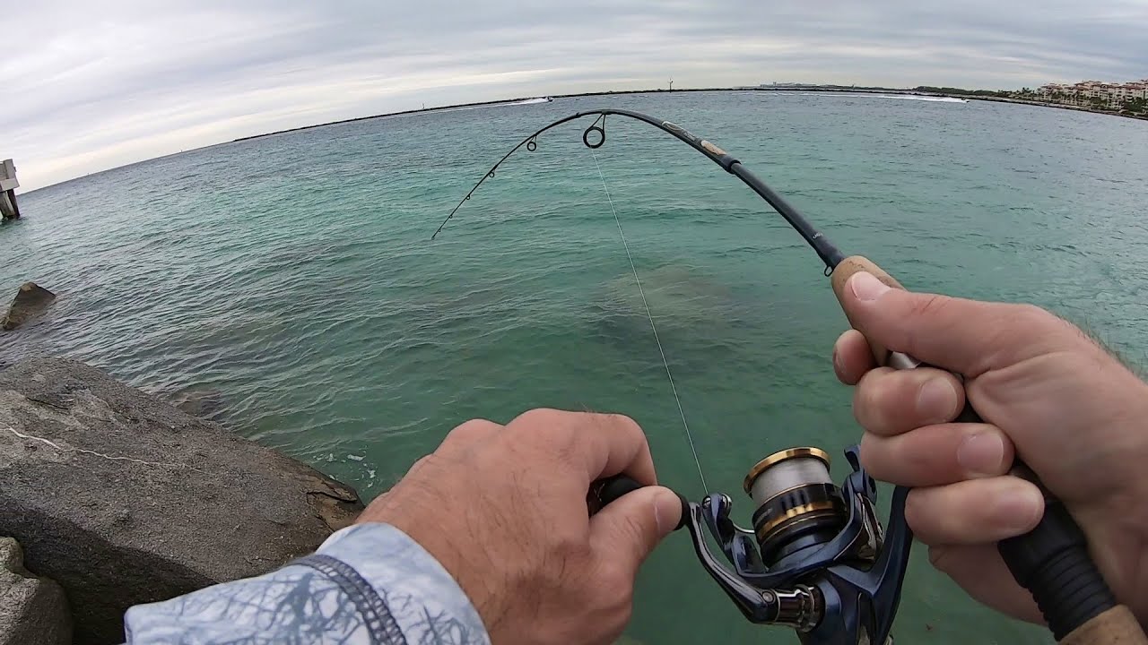 Saltwater Fishing - NEVER Know What You're Going to Catch! 