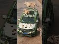 A Group Of Tiger's, attacked on a passenger Cab 🚖😱😱. #tiger #doubletigers #ytshorts #shorts