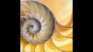 Data Visualization & Infographics| Part-3/1 | Types of data visualization| Mathematical visual...