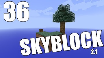 Minecraft - "Skyblock 2.1" Part 36: Upgrading the Trap