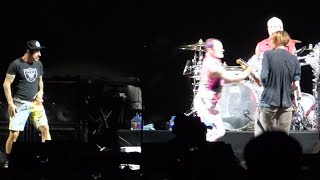 Video thumbnail of "Flea gets angry and stops playing, but calms down with Josh's affection!"