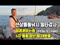 The Captain Himself Teaches You How To Fish For Rock Bream On A Boat Put The Bait Like This And The Captain Himself Teaches You How To Fish For Rock Bream On A Boat Put The Bait Like This And