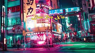Lian Ren Xin Remix 2024  - NONSTOP MIXTAPE 2024 - [ LIN XING ]