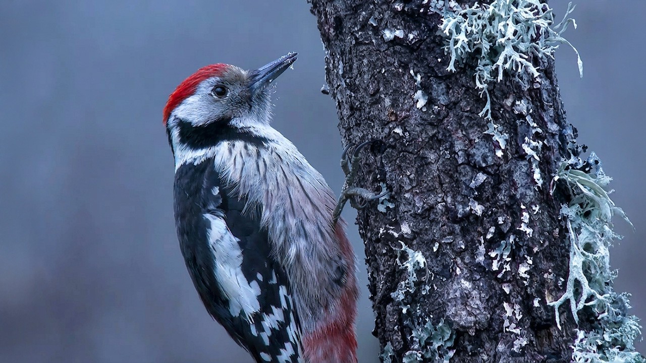 Испания: рай между двумя мирами — 4K