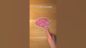 College Admissions Isn