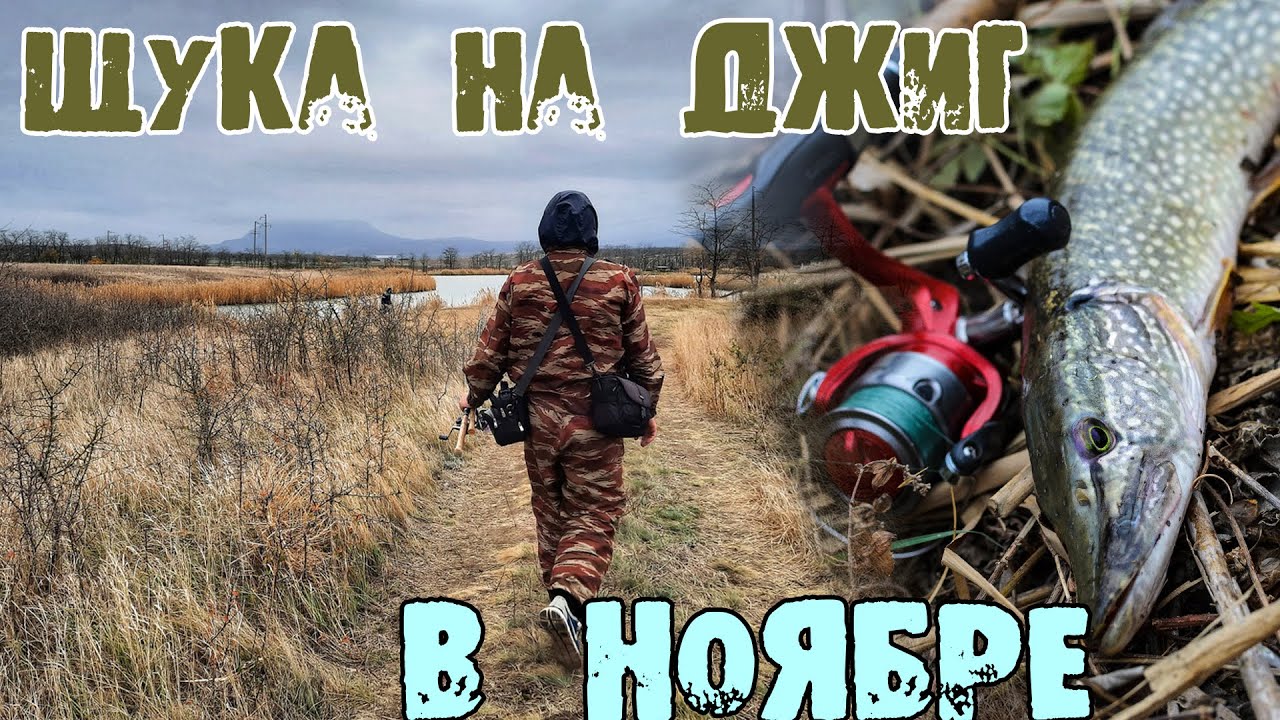 Щука на оке