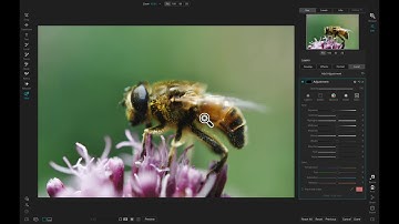 Color Selection Technology