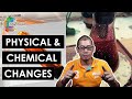 Physical & Chemical Changes | SPKA