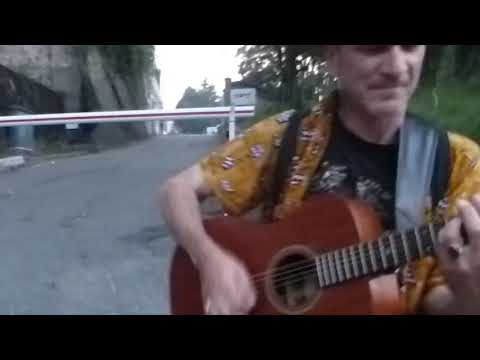 Poisson rouge -