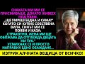 нахата ми ми се присмиваше докато живеех под наем Ще умреш бедна и сама нахата ми ми се присмиваше докато живеех под наем Ще умреш бедна и сама