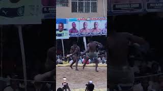 alhassan ogan boye yahukunta #dambe #sports #hausa sangom
