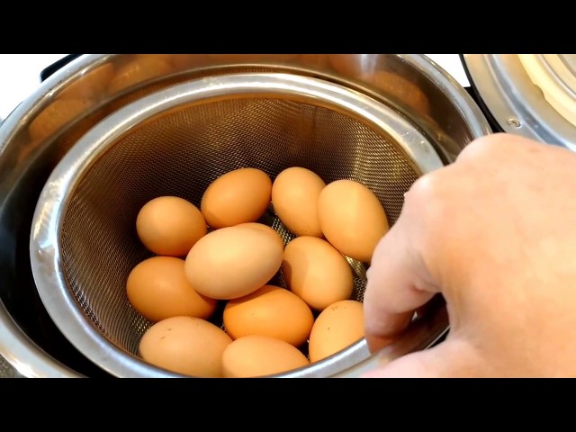 Instant Pot Boiled Eggs - Jen Jen's Designs