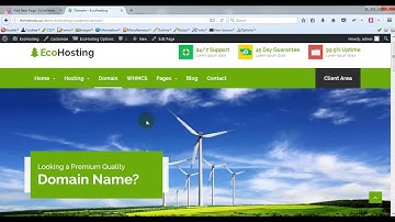 How to Setup The Domain Page of EcoHosting - Responsive Hosting and WHMCS Wordpress Theme