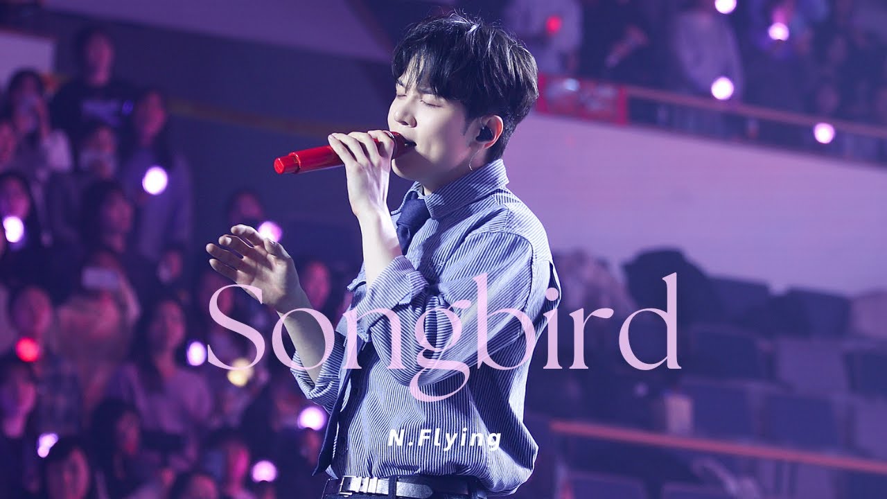 260131 어썸 스테이지 AWESOME STAGE 부제 : 作心三日 (작심삼일) 엔플라잉 - Songbird [N.Flying 회승 4K직캠/FANCAM]