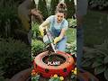 Old Tire to Amazing DIY Garden Decor 🛞🪴 | Best Waste to Wonder Craft | Creative Garden Idea