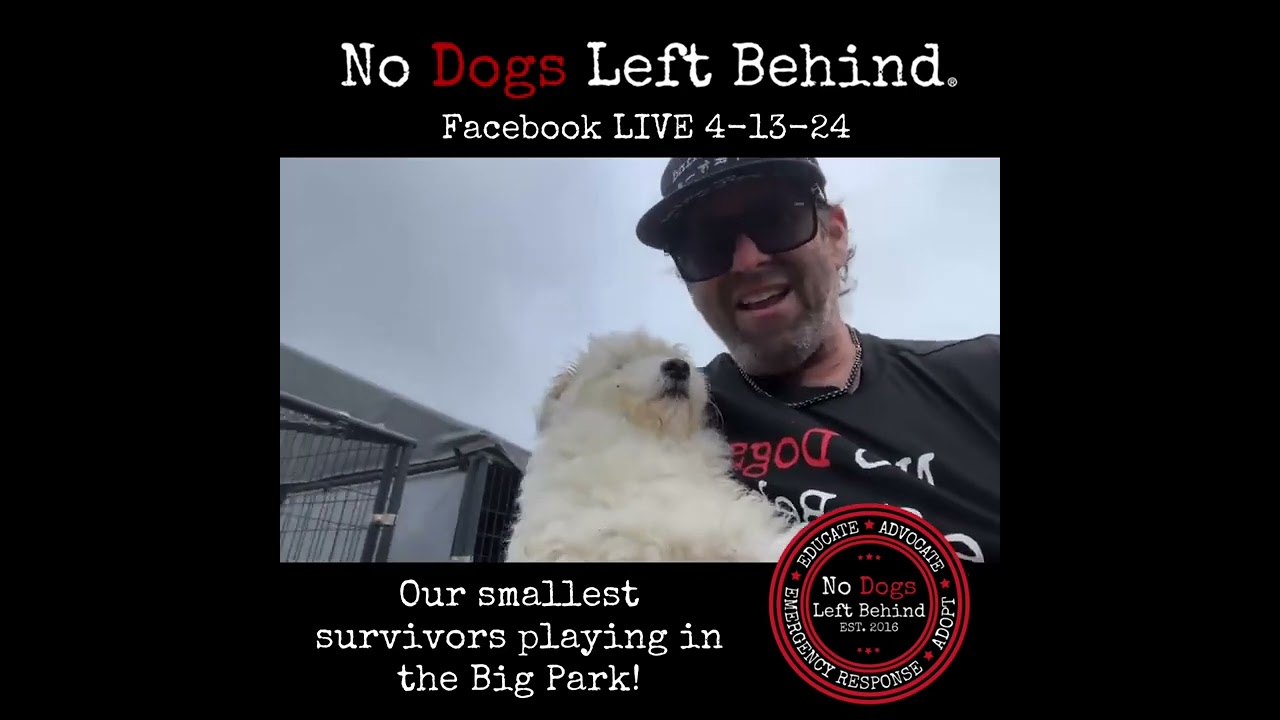 4-13-24, Facebook LIVE Replay First time in the big park for our smallest survivors